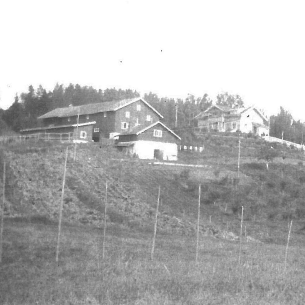 Høn gård sett over de åpne jordene — gressgangen som ga stedet navn.